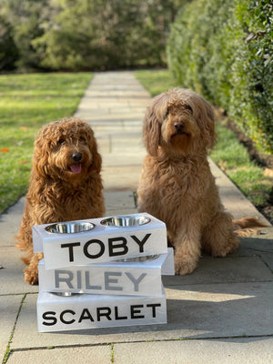 Personalized Acrylic Dog Bowl